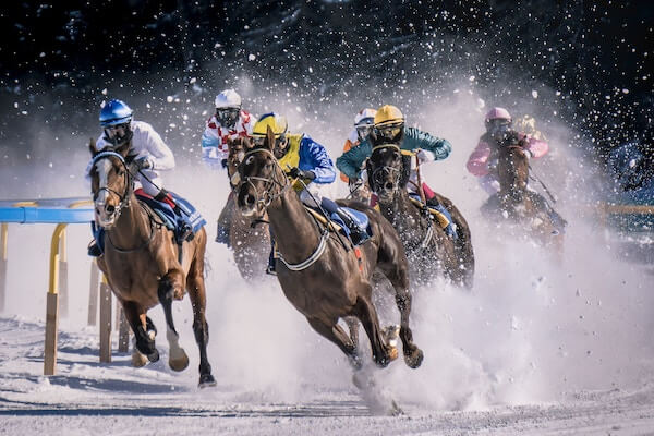 New York Horse Races